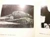 MALARSTWO – MAKSYMILIAN KASPROWICZ. KATALOG WYSTAWY 1977